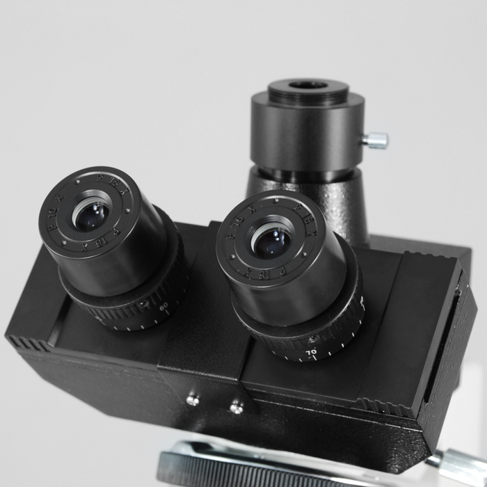 16X Widefield Microscope Eyepieces, 23.2mm, FOV 11mm (Pair)