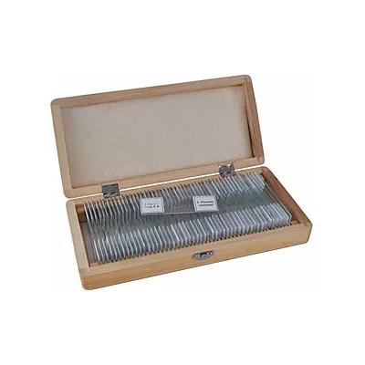 Bresser 50 Prepared Microscope Glass Slides (59-86002) bresser