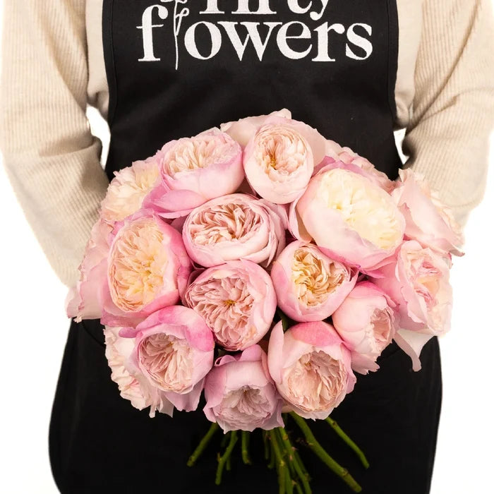 David Austin Garden Rose Light Pink Miranda Apron - Image