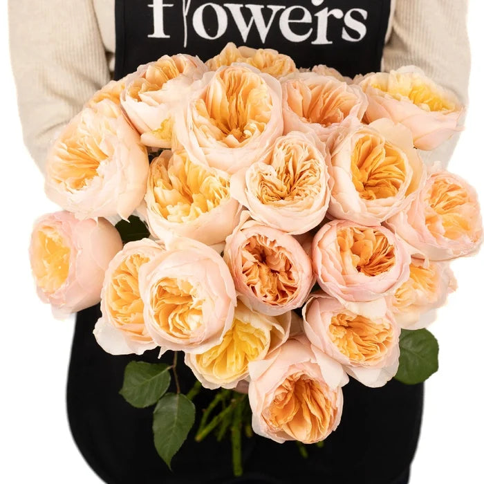 David Austin Rose Peach Juliet Ausgameson Apron - Image