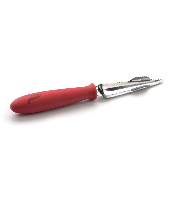 RSVP Jalapeno Corer at Culinary Apple