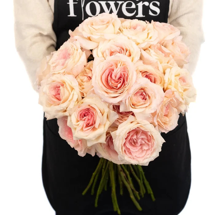 Cabbage Rose Shell Pink Apron - Image