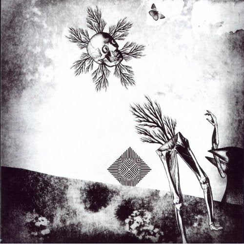 Nick Mott - Almost Entirely Of Nerves And Blood 7" + cdr
