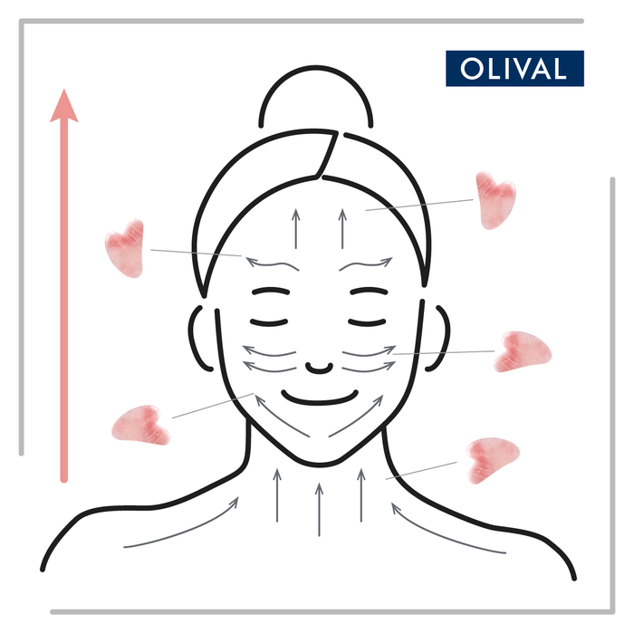 Gua sha infografika