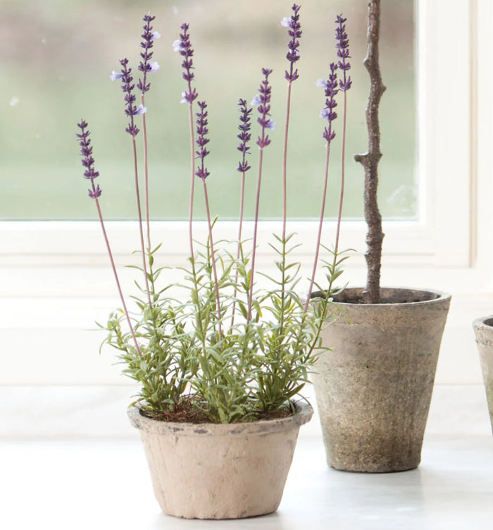 napa home and garden faux potted lavender real life touch home design