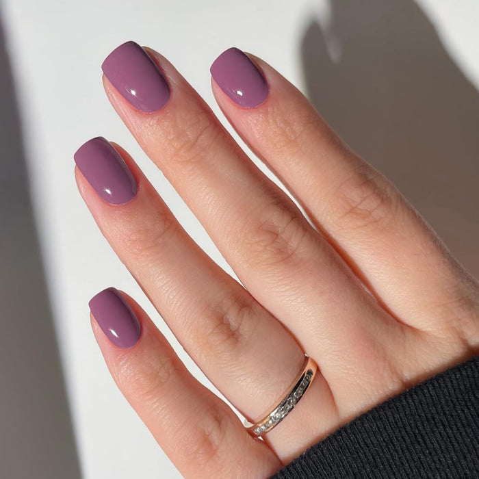 Soft Plum