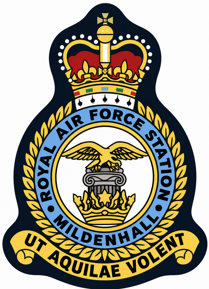 The 351st ARS