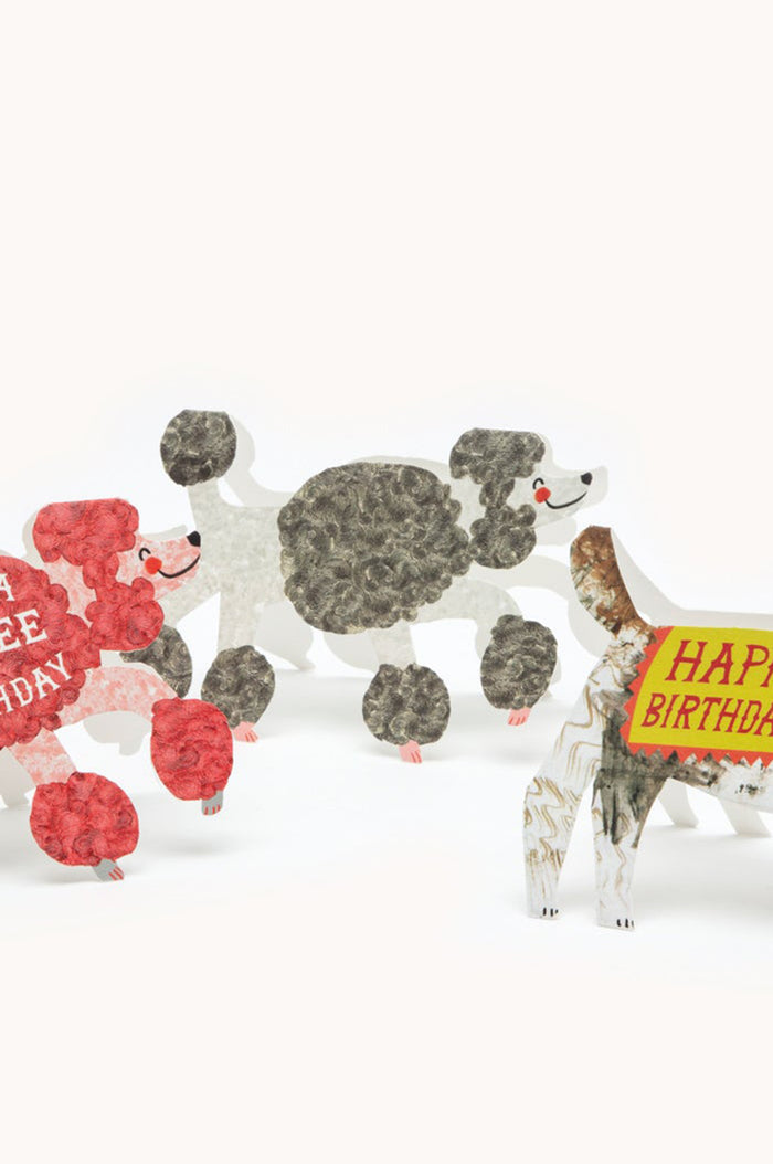 The Poodle Card