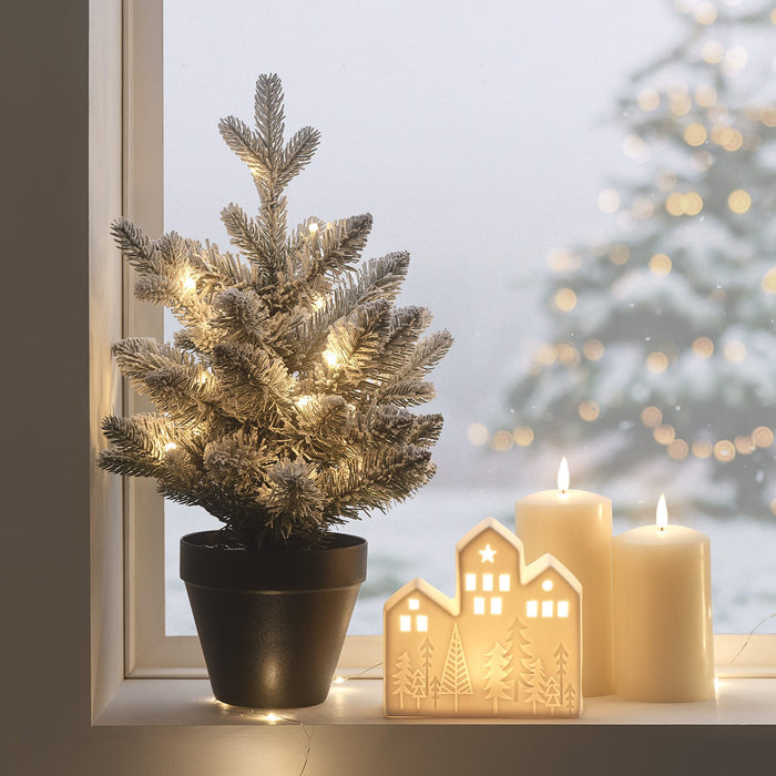 Window Light Bundle