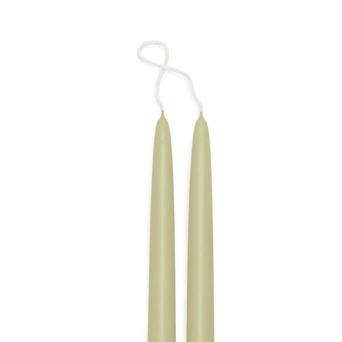 Desert Olive
