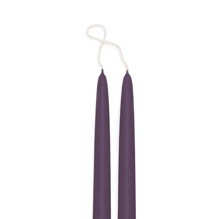 Eggplant