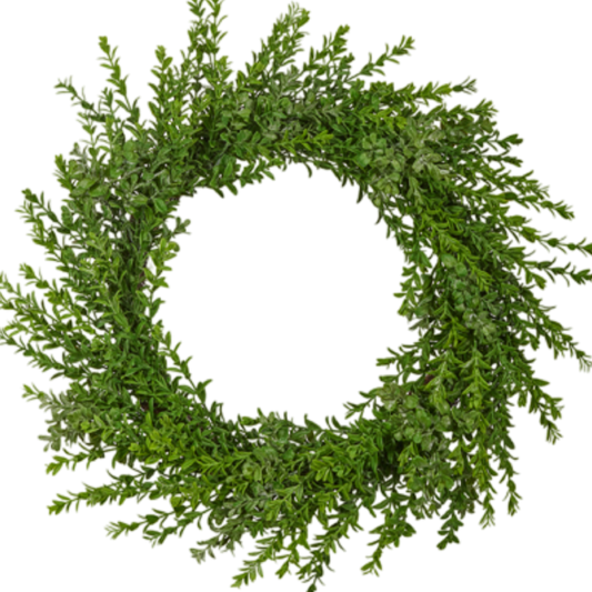 24" Boxwood Wreath Green Raz Imports