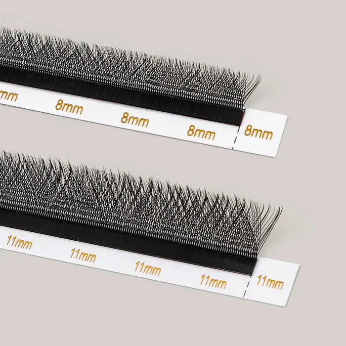 3D W-shape Clover Lashes 0.07mm| Swaniya Lashes