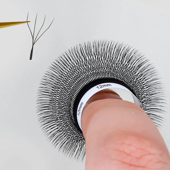 4D W Lashes 0.07mm| Swaniya Lashes