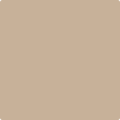 AF-130: Truffle  a paint color by Benjamin Moore avaiable at Clement's Paint in Austin, TX.