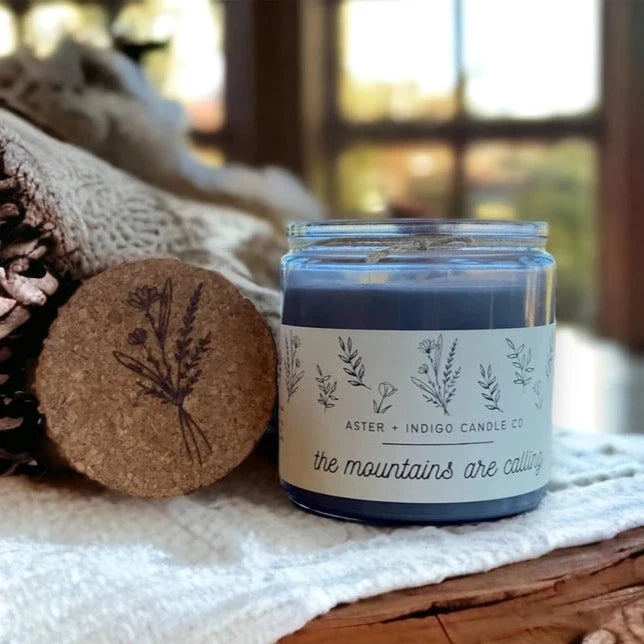 Aster & Indigo Holiday Scented Jar Candles