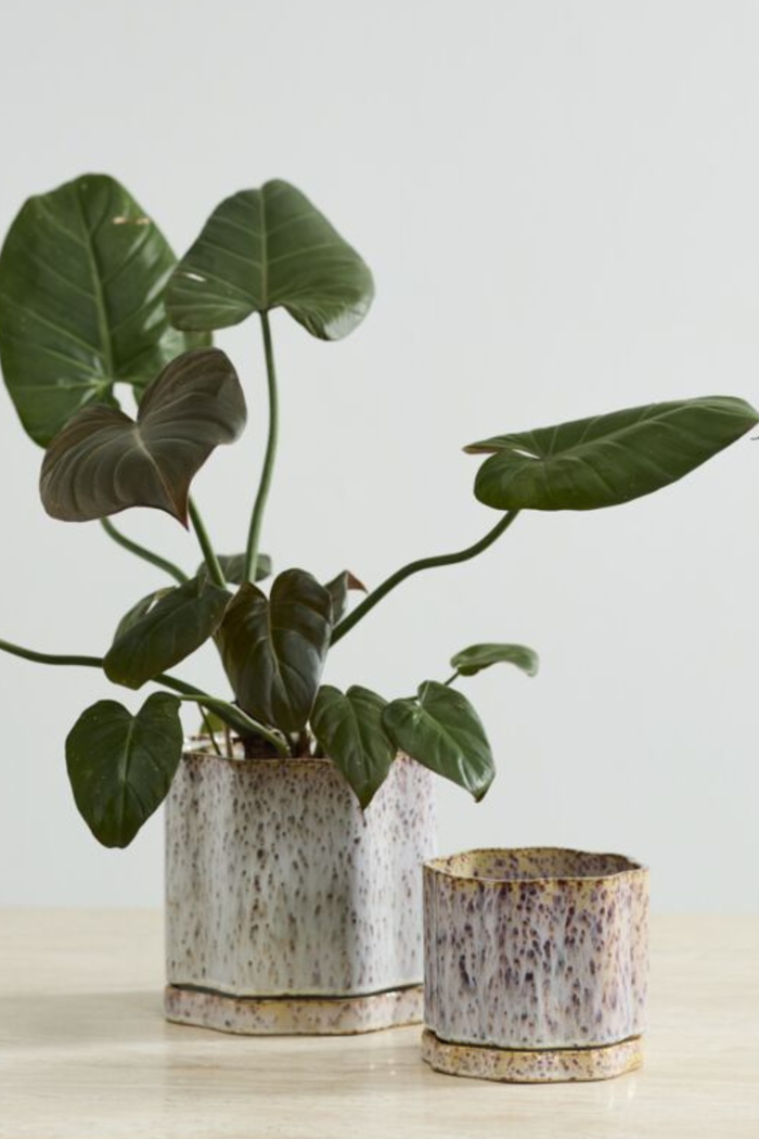 Accent-Decor-Avenell-Ceramic-Pots