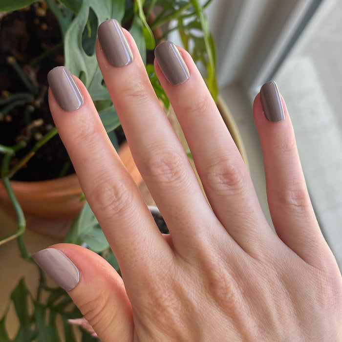 AW - Press-On | Short | Squoval showing hand with warm grey short squoval press-on manicure near window with plants in background