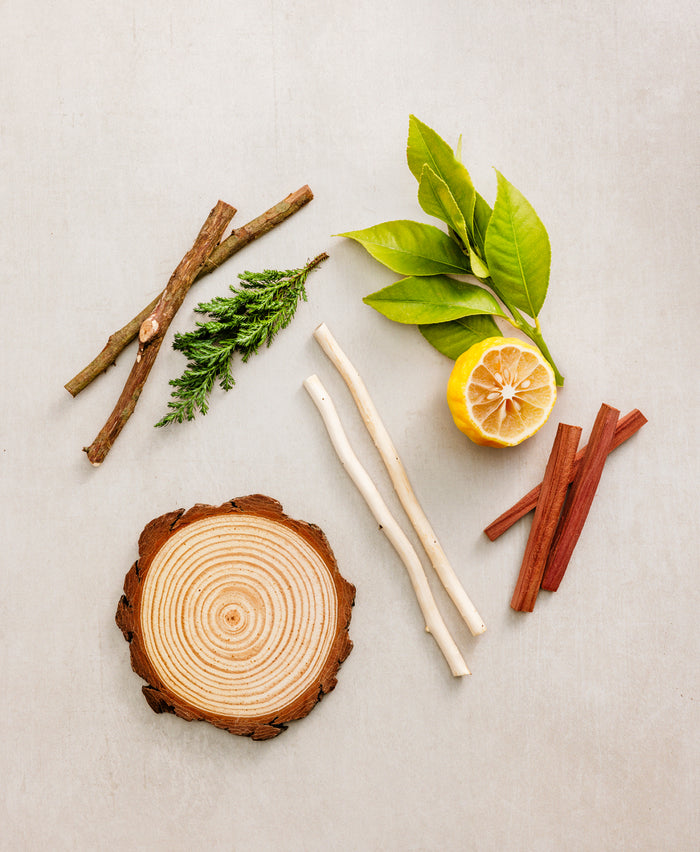 Blue Cedar & Cypress Spray Cologne