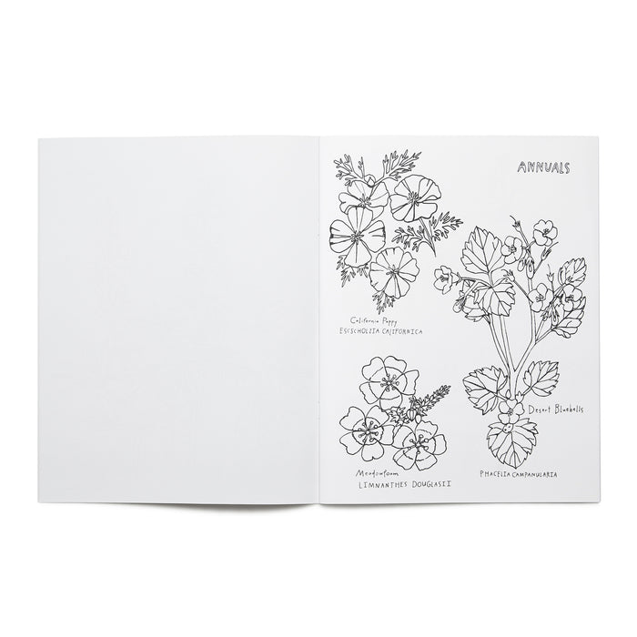 Open page of the 'Buds Along The Path' coloring book featuring illustrations of various annuals flowers and the title text.