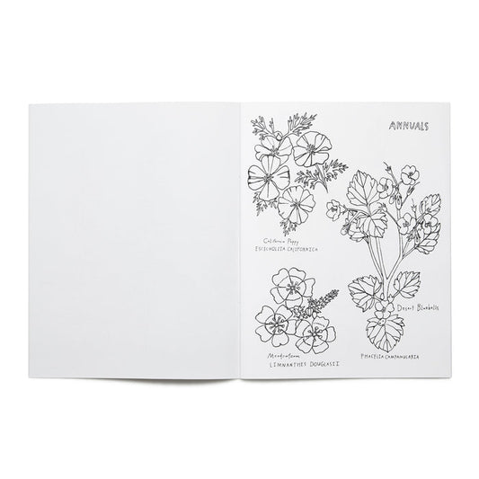 Open page of the 'Buds Along The Path' coloring book featuring illustrations of various annuals flowers and the title text.