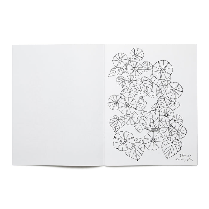 Open page of the 'Buds Along The Path' coloring book featuring illustrations of morning glory flowers and the title text.