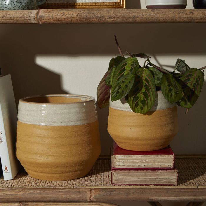 Ceramic Altamira Planter