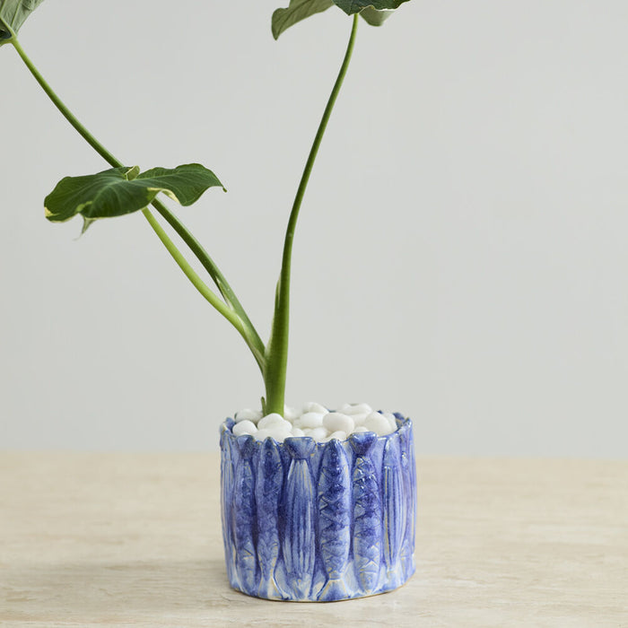Blue Sardine Planter