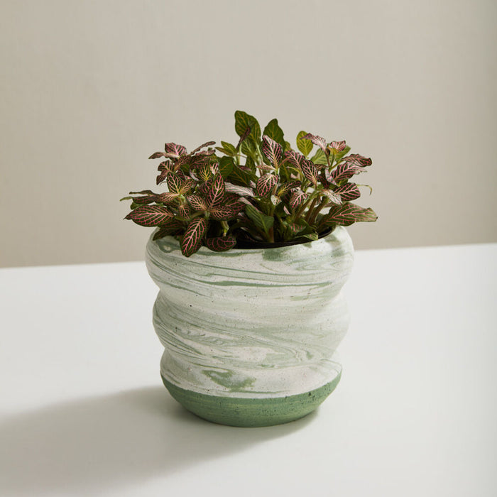 Ceramic Greenway Planter
