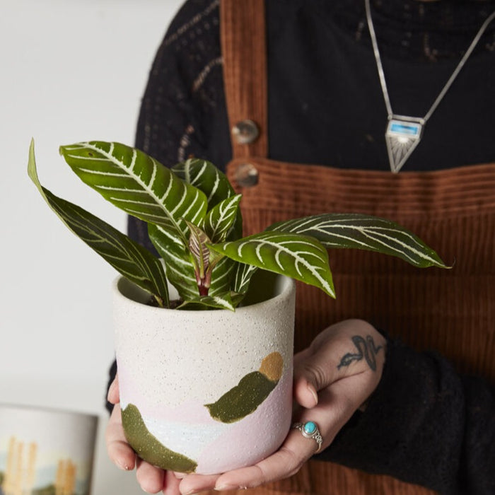 Ceramic Mountain Planter