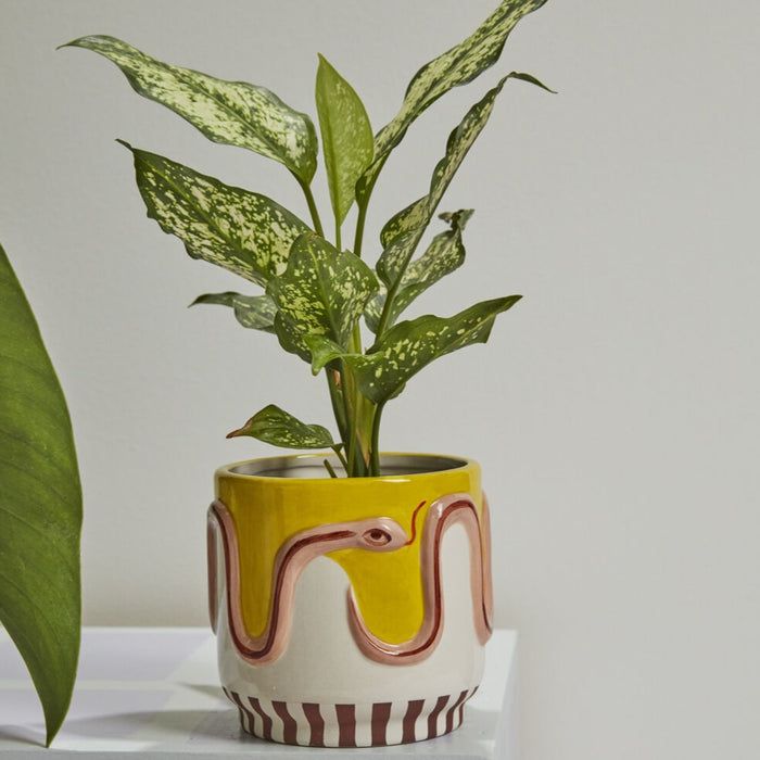 Ceramic Snake Planter