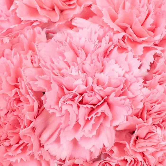Choose Your Colors Carnation Flowers Vase - Image