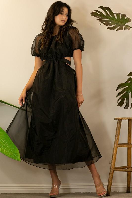 Crowded Grace Organza Dress
