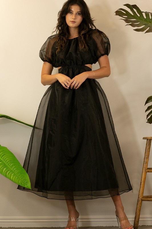 Crowded Grace Organza Dress