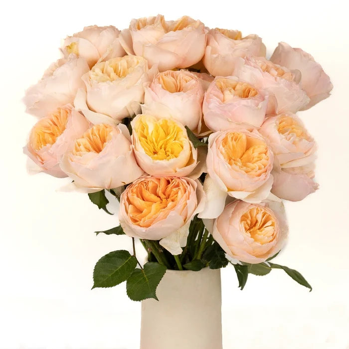 David Austin Rose Peach Juliet Ausgameson Vase - Image