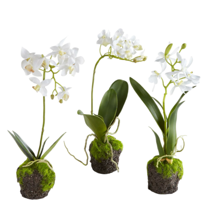 dendorbium drop in orchid napa home and garden faux plant flower