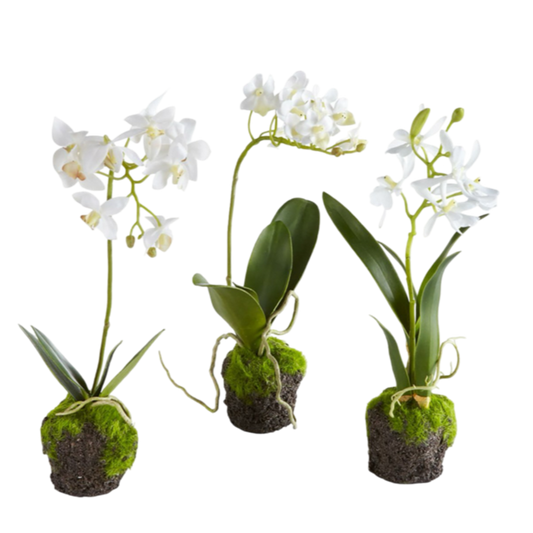 dendorbium drop in orchid napa home and garden faux plant flower