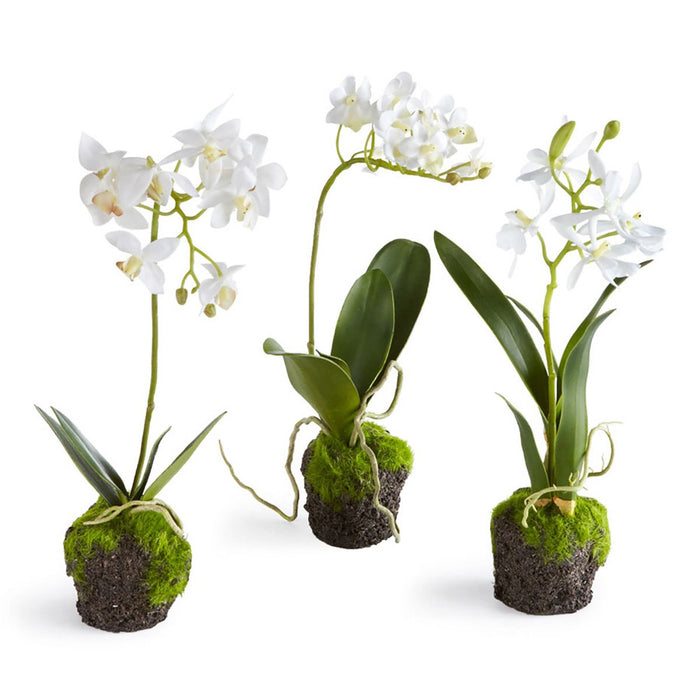 dendorbium drop in orchid napa home and garden faux plant flower