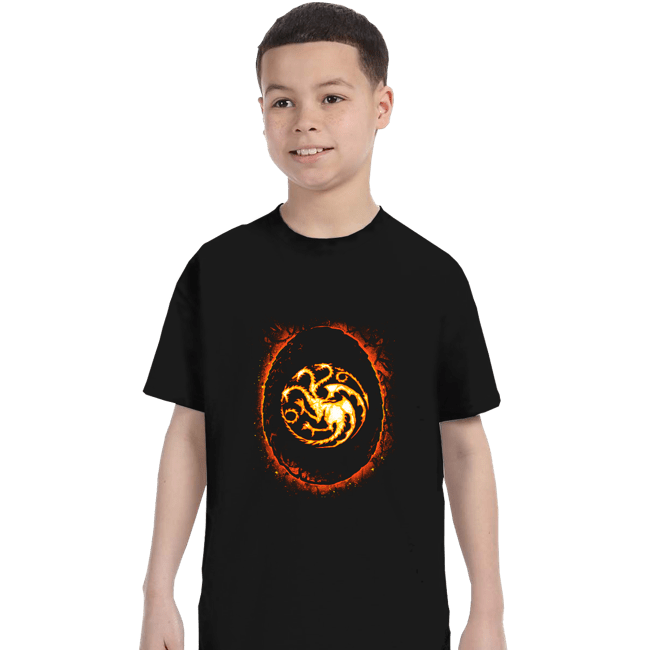 Daily_Deal_Shirts T-Shirts, Youth / XS / Black Egg Of The Dragon