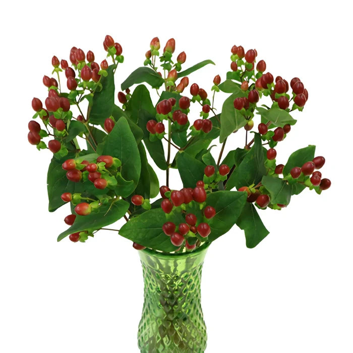 Excellent Flair Marsala Red Hypericum Berries