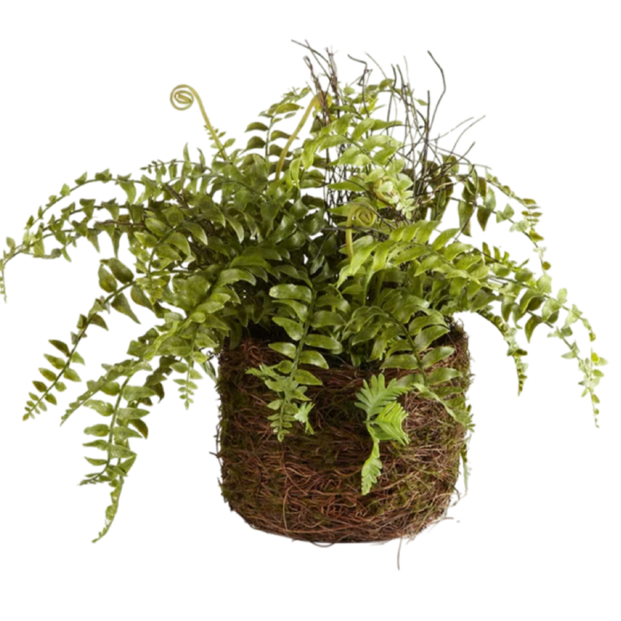 Napa Home and Garden Boston Fern Drop in Real touch plant