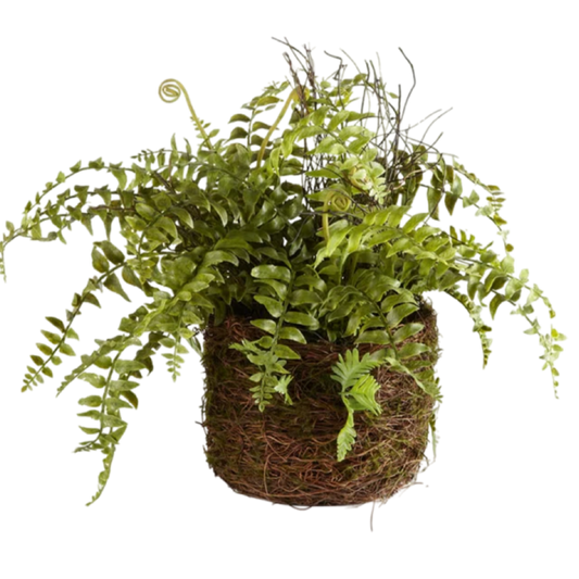 Napa Home and Garden Boston Fern Drop in Real touch plant