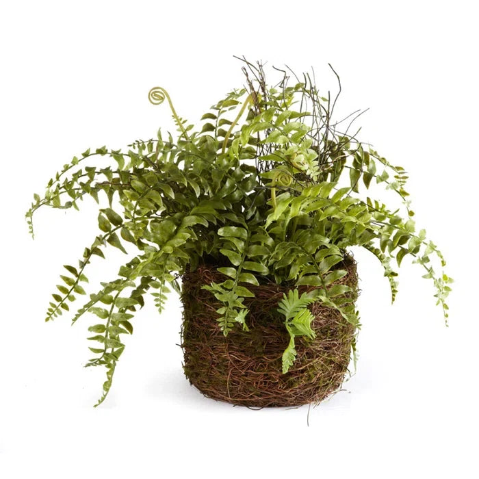 Napa Home and Garden Boston Fern Drop in Real touch plant