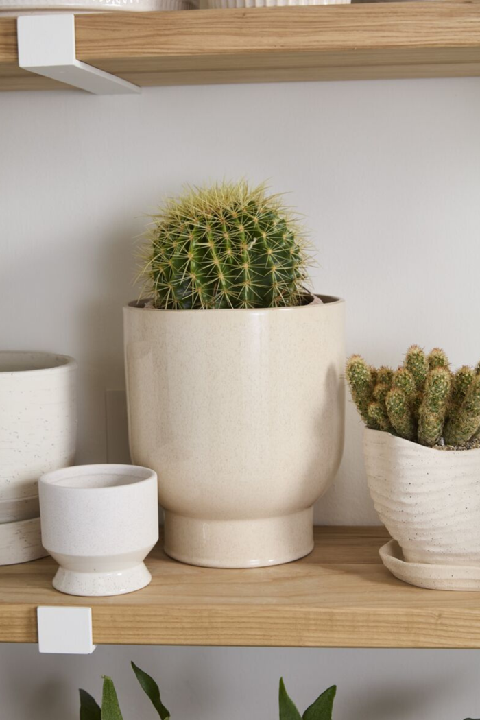 Accent-Decor-Fischer-Footed-Ceramic-Pot