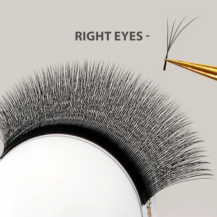 Fox Eye Lash Extensions for Instant Cat-Eye Lift | Slanting 4D Pre-Made Fans| Swaniya Lashes