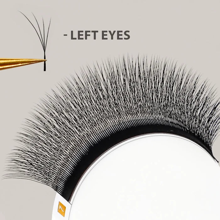 Fox Eye Lash Extensions for Instant Cat-Eye Lift | Slanting 4D Pre-Made Fans| Swaniya Lashes
