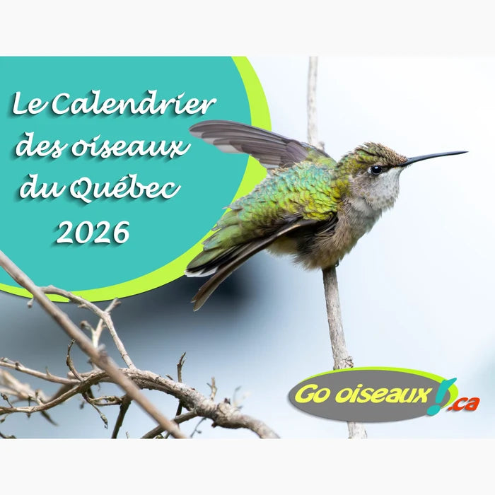 Go oiseaux ! Calendrier Oiseaux du Québec 2026