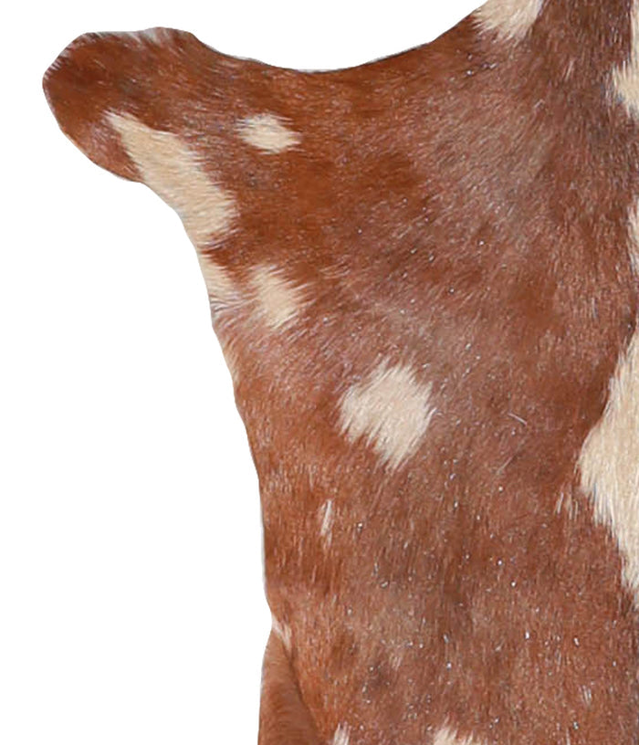 Goatskin #A27731