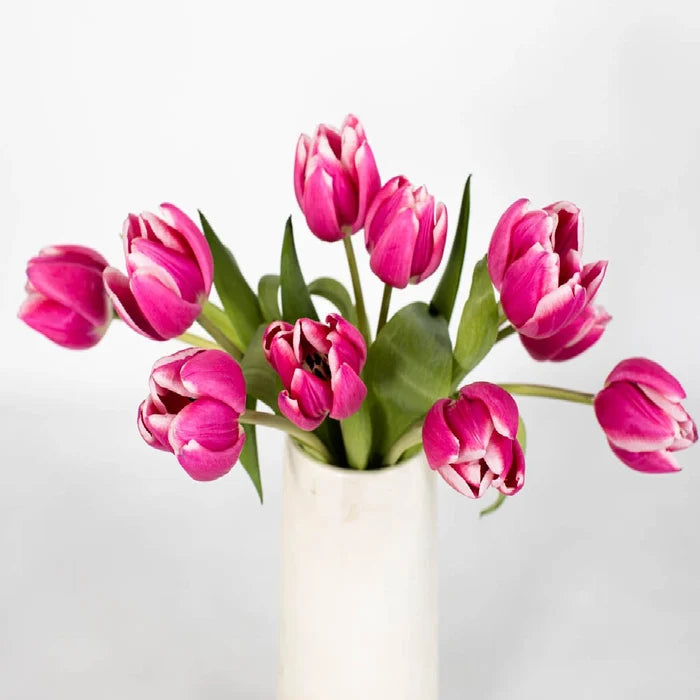 Hot Pink Tulip Flower Bunch in Vase