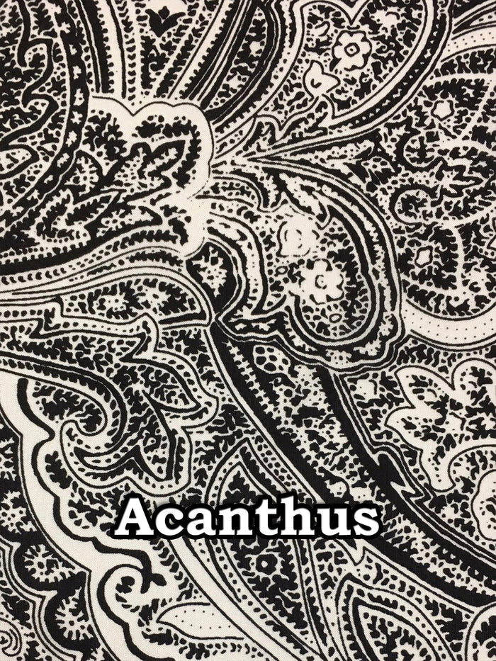 Acanthus